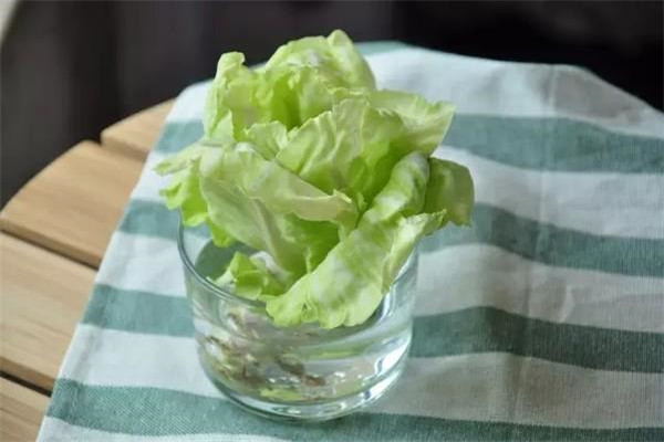 水培蔬菜營(yíng)養液配制須知