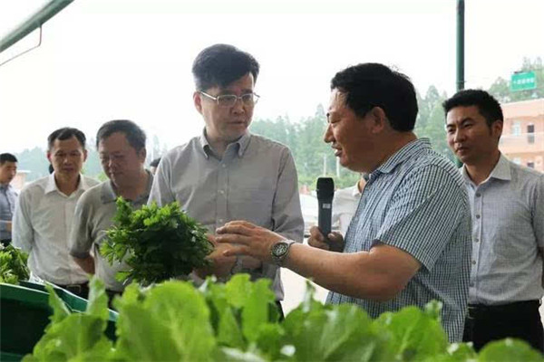 生產(chǎn)無(wú)公害蔬菜注意事項