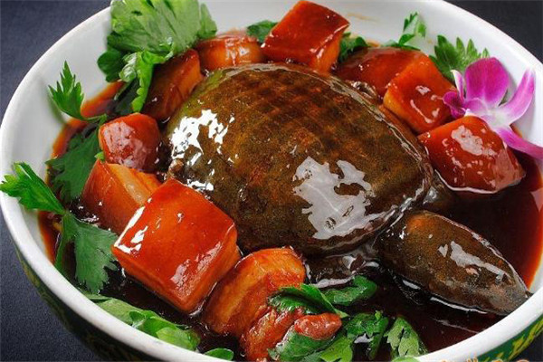 甲魚(yú)的營(yíng)養價(jià)值、性味功效