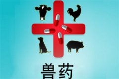 獸藥屬于藥品嗎？獸藥與人用藥的區別是什么？