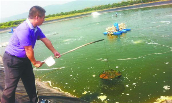 魚(yú)池老水的調節方法
