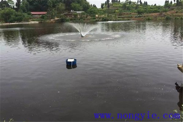 合理調控水質(zhì)