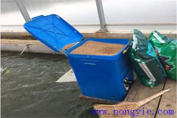 魚(yú)飼料的一般營(yíng)養成分及其功能如何