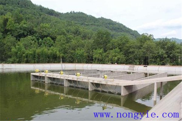 什么是流水養魚(yú)