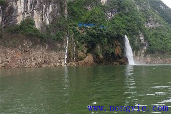 溪泉流水養殖
