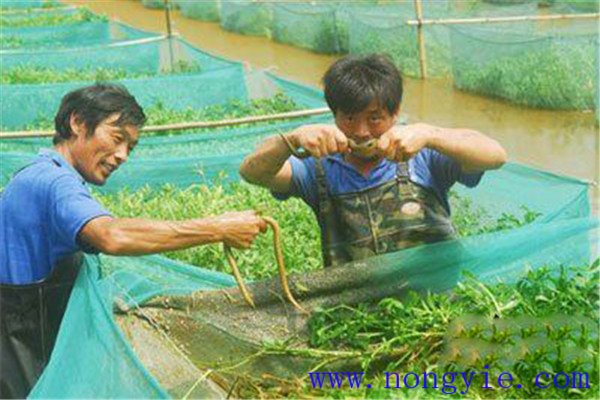 對水位水質(zhì)調控