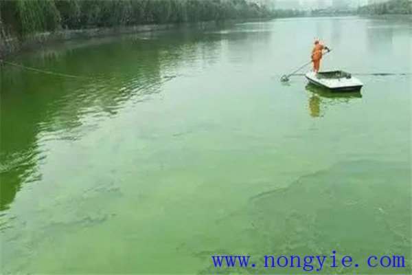 調，即調節水質(zhì)