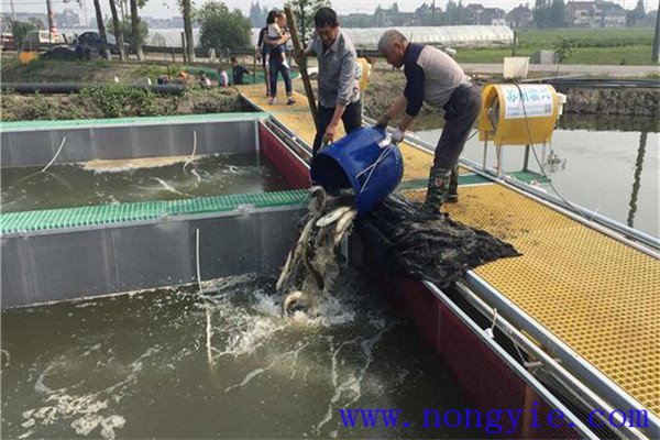 春節后養魚(yú)的朋友們應注意哪些問(wèn)題