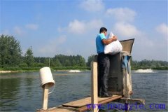 如何讓魚(yú)安全越冬，并降低魚(yú)體越冬期失重
