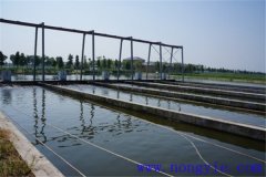 現代池塘養魚(yú)的生產(chǎn)與經(jīng)營(yíng)特點(diǎn)是什么？