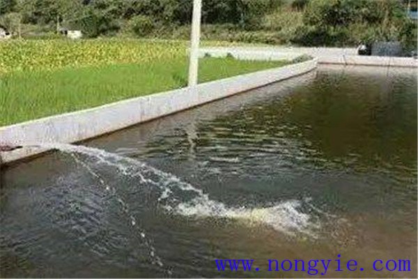 魚(yú)塘注水方法及注意事項
