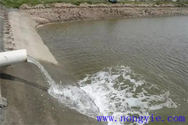 定期沖換水，保讓魚(yú)塘水質(zhì)