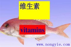 水溶性維生素對魚(yú)類(lèi)有何作用