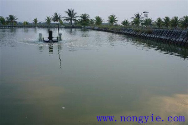 采用先進(jìn)的種養生產(chǎn)技術(shù)
