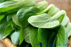 上海青是什么菜？上海青種植時(shí)間和方法