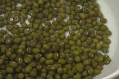 綠豆芽怎么發(fā)才能長(cháng)得又粗壯又白嫩且不生根