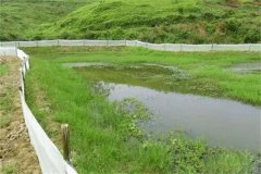 小龍蝦養殖池塘如何建造防逃墻