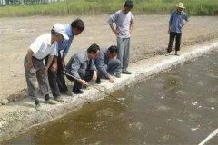 養蝦的水質(zhì)管理主要技術(shù)措施