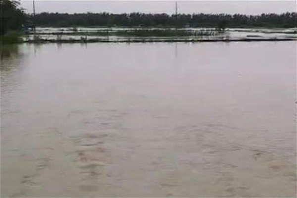 暴雨對養殖水體的影響