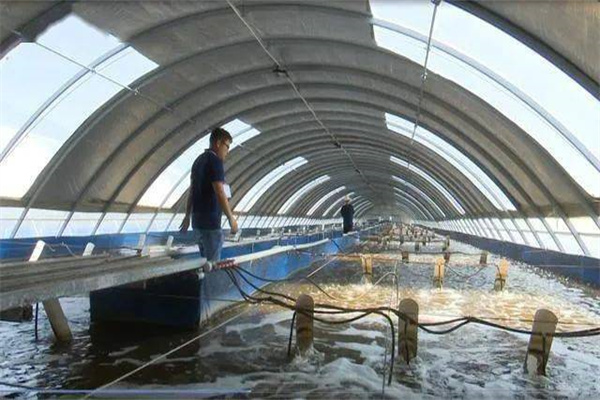 養殖大棚需要哪些裝置