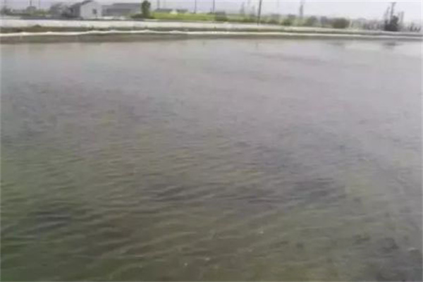 養殖水域選擇