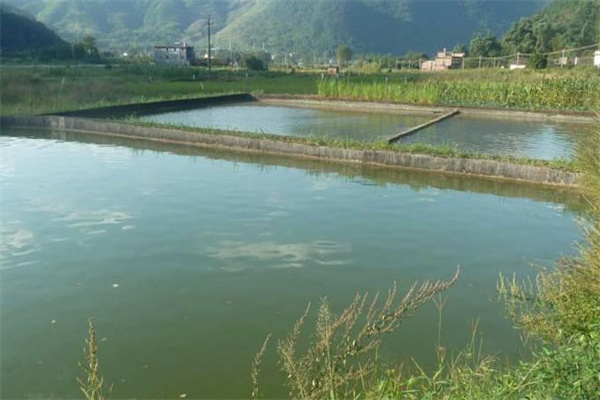 養魚(yú)池塘的水質(zhì)標準