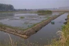 稻田青蝦、河蟹混合立體養殖技術(shù)簡(jiǎn)介