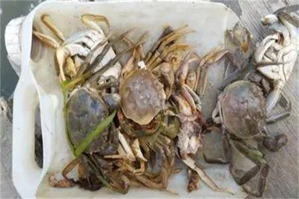 近期河蟹養殖低產(chǎn)甚至虧損的原因