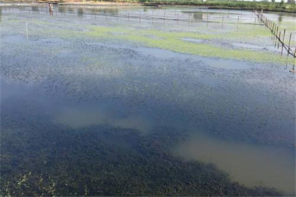增加溶氧，促進(jìn)有機物氧化分解