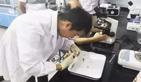 幾項較為先進(jìn)的魚(yú)病診斷技術(shù)