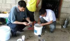 魚(yú)病治療中的發(fā)現、送診、用藥問(wèn)題