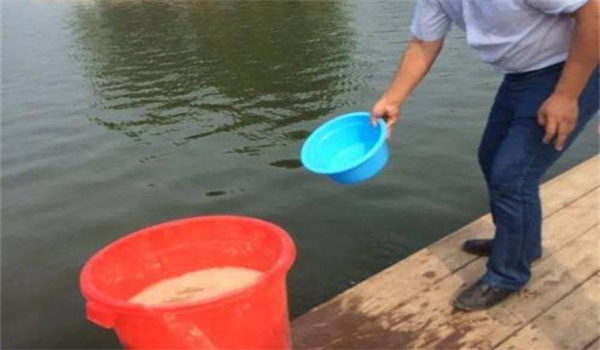 給魚(yú)投藥需注意事項