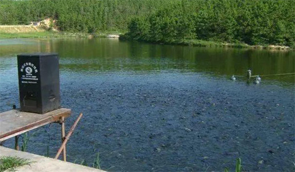 養魚(yú)戶(hù)綜合養魚(yú)有哪些類(lèi)型