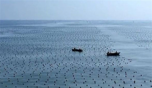 放流海區的選擇