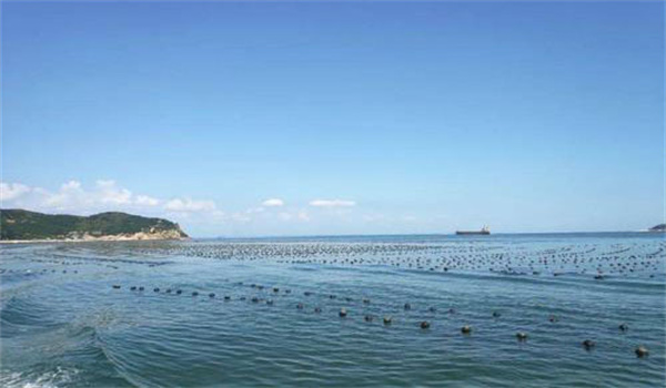 選擇適合采苗海區