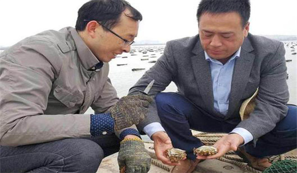 合理確定投放附著(zhù)基的時(shí)間