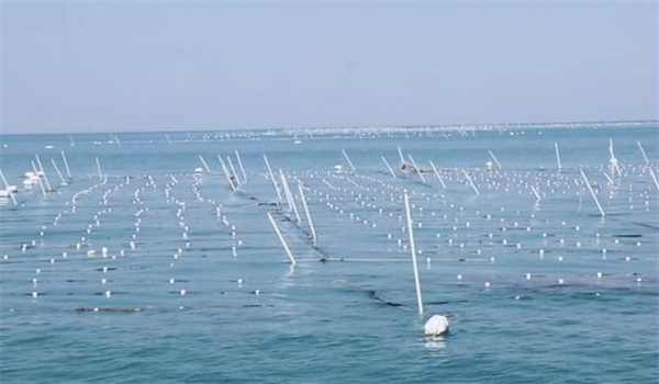 增殖海區選擇