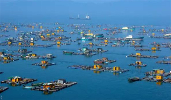 海膽苗種放流海區的改造