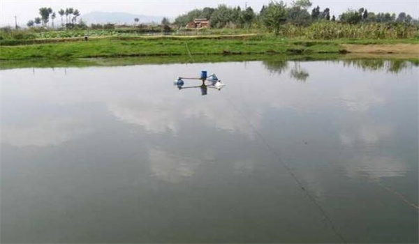 養魚(yú)池塘溶氧的來(lái)源和消耗途徑