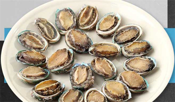 鮑魚(yú)的營(yíng)養價(jià)值