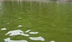 夏季水產(chǎn)養殖應注意的幾個(gè)問(wèn)題