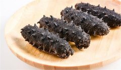 海參怎么吃- 海參的營(yíng)養價(jià)值