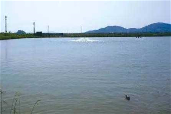 鮰魚(yú)養殖的池塘條件