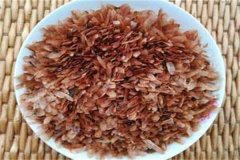 香椿種子多少錢(qián)一斤，什么時(shí)候種怎么種植？