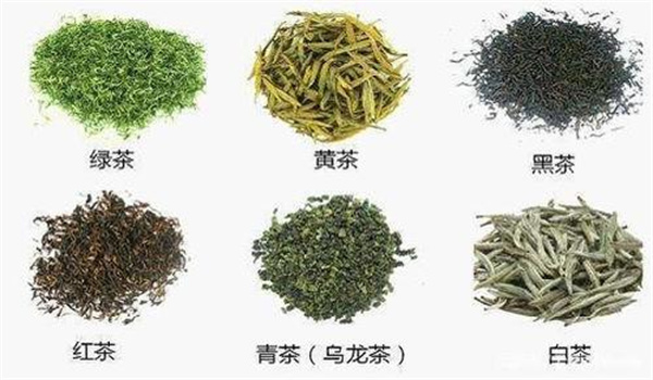 我國基本茶類(lèi)分為哪幾大類(lèi)