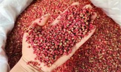 大紅袍花椒的分級方法與標準問(wèn)題
