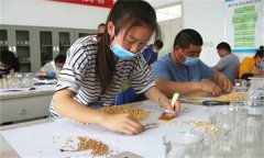 農作物的種子質(zhì)量檢驗包括哪些內容？