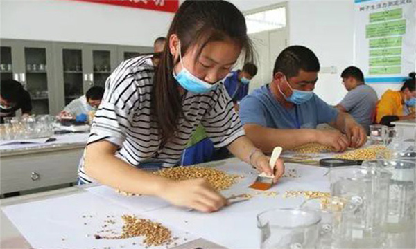 農作物的種子質(zhì)量檢驗