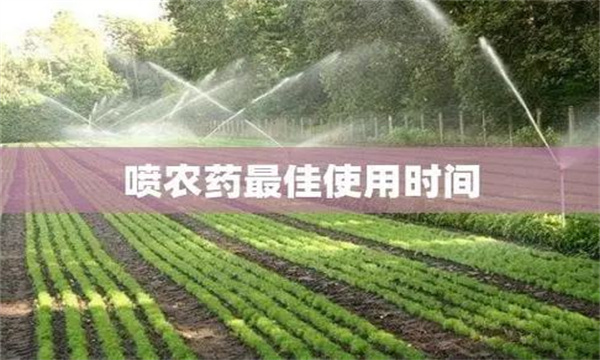 農藥用藥時(shí)間問(wèn)題