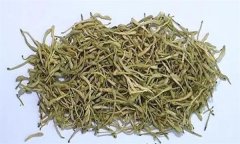 如何科學(xué)飲用金銀花茶？需注意哪些事項？